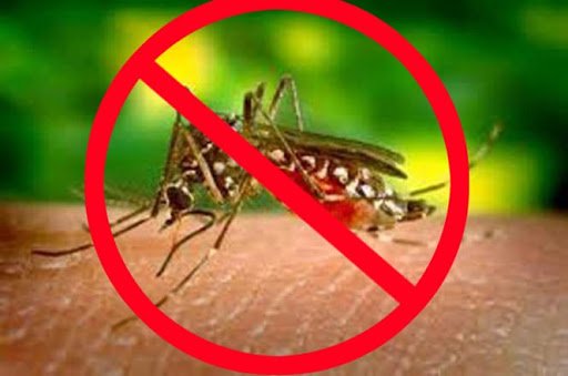 Rashtriya Jagran | अभी का मौसम मच्छरों के लिए है अनुकूल, डेंगू को लेकर रहें...